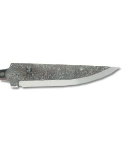 LEIF CARLSSON TAND ca 75 x 17 x 3 mm